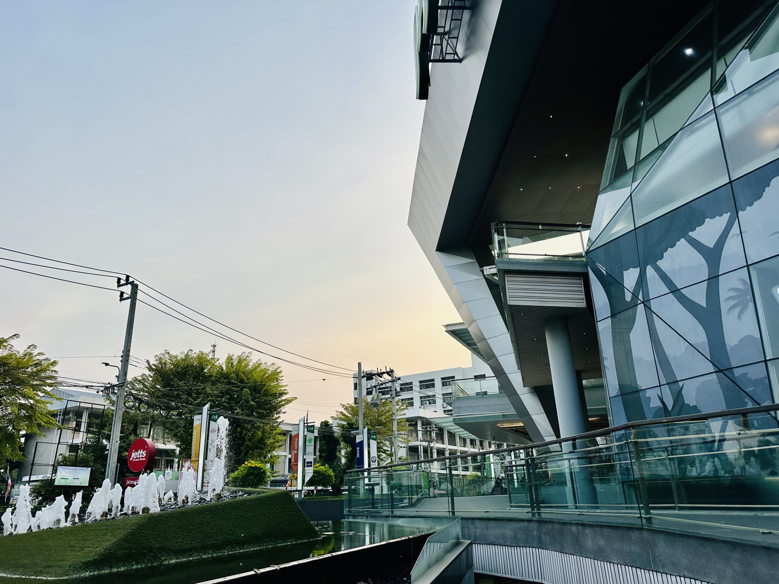 The Phyll | เดอะฟิล