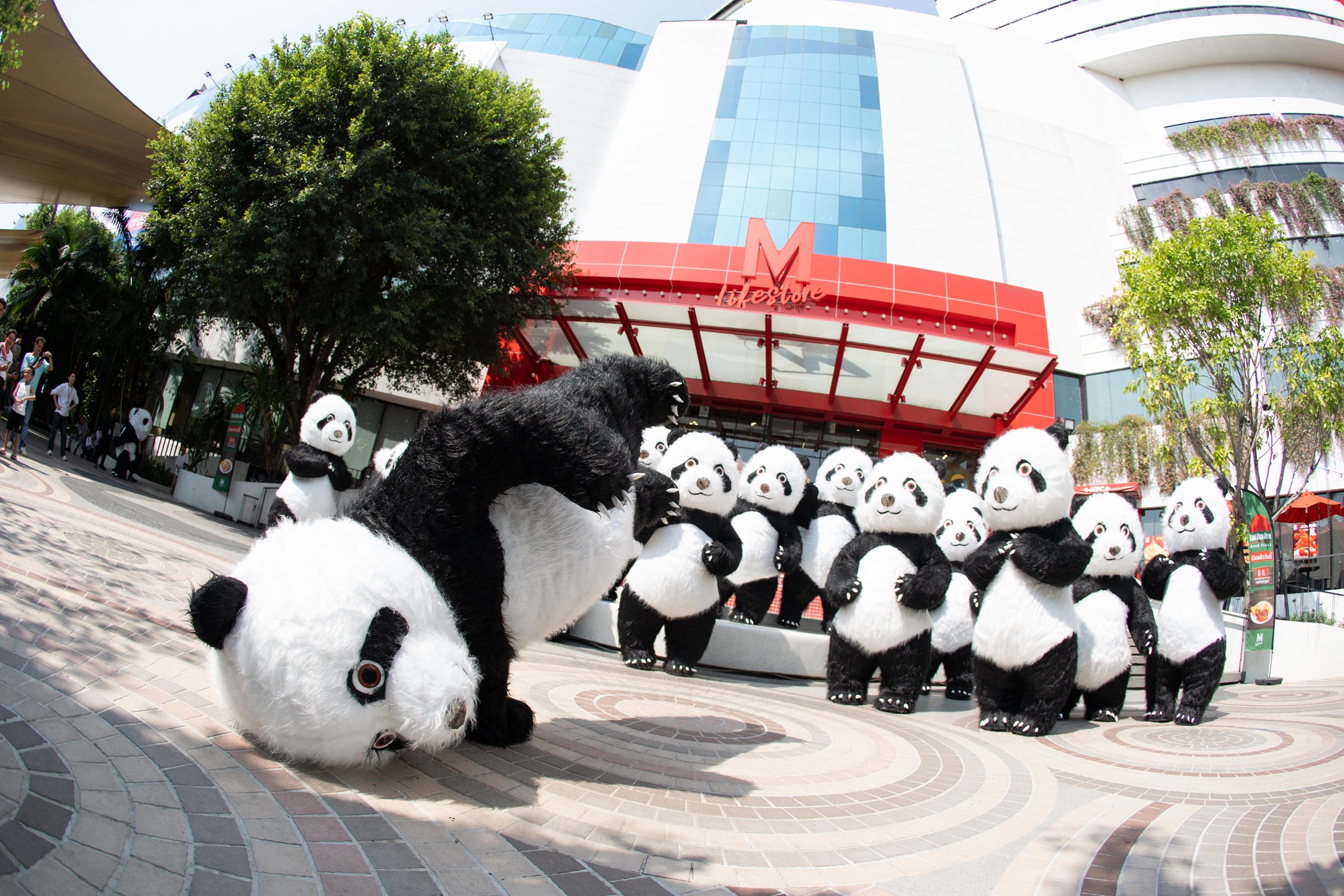 แพนด้ากว่า 1,000 ตัวบุกห้าง! ในงาน CHA CHA CHA PANDA TOWN